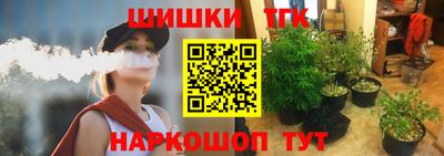 мдпв Дубна