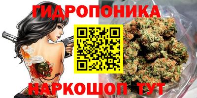 прущие крисы Донецк