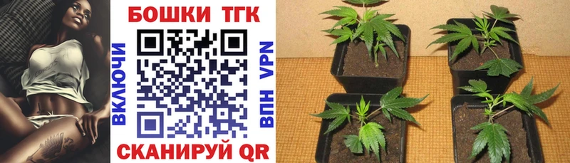 дарнет шоп  Ялуторовск  Бошки Шишки SATIVA & INDICA 